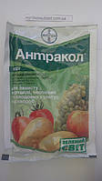 Фунгіцид контактний Антракол (100 г) — ФАСОВКА захист від фітофтори, альтернаріозу препарат порошок