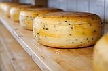 Форма для сирів (на 1-2,5 кг)з поршнем, фото 2