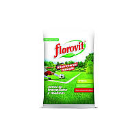 Florovit (Флоровит) для газонов пораженных мхом, 10 кг