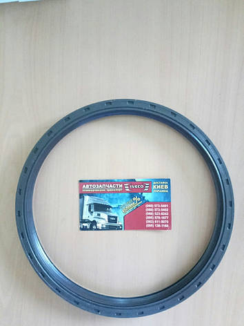 Сальник маточини Івеко 180x200x17, фото 1