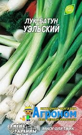 Насіння цибулі-батун Уельсський, раннє стиглий 1 г, "Семена України", Україна