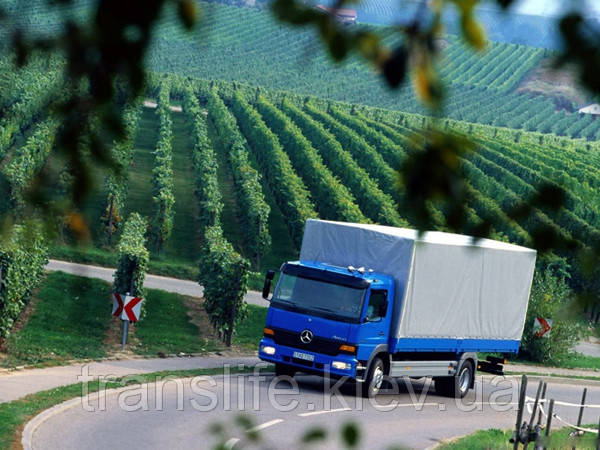 Вантажні перевезення та доставка товарів з Франції в Україну