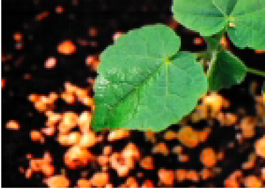 XIAMETER OFX-5211 SUPERWETTING AGENT, фото 1