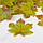 Листя осінні декоративне, салатовий клен 8 × 9 см, 100 шт. , фото 2