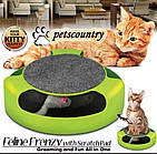 Кігтеточка з іграшкою Сatch the mouse