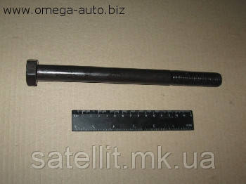 Болт М20*240, STR-4M20x240