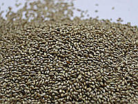 Семена тимофеевки луговой, кг