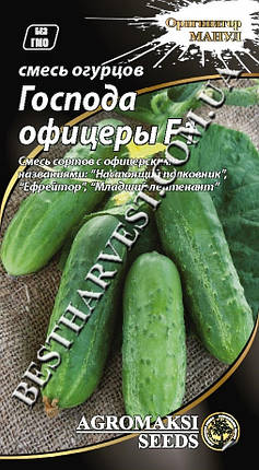 Насіння суміш огірків «Панове офіцери» F1 0.3 г, партенокарпічний, фото 2