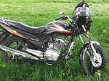Мотоцикл Musstang MT150-6, фото 2