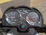 Мотоцикл Musstang MT Vista 150, фото 4