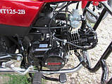 Musstang MT125Q-альфа 2B, фото 8