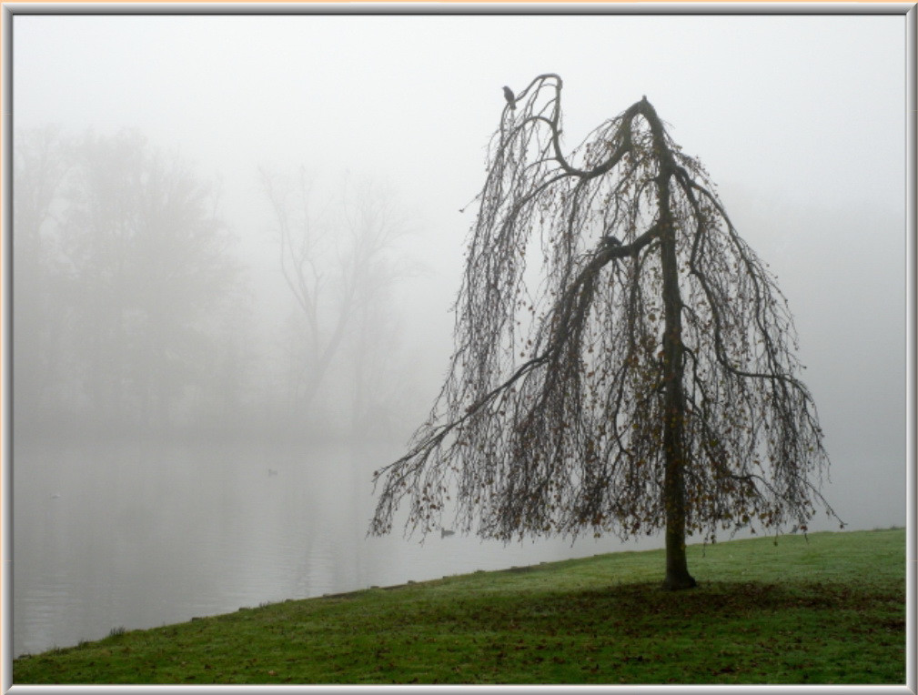 Фотокартина №113  60 х 80 см, фото 1