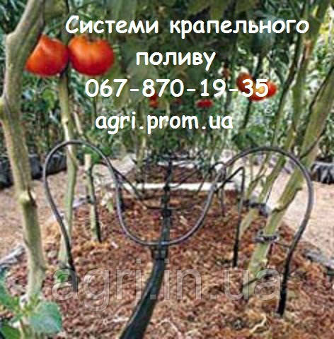 Компенсированная капельница 5л/ч. Зелёный цвет. - фото 4 - id-p38033836