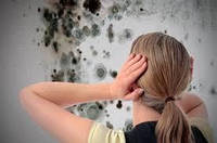 Методи рішення для видалення цвілі