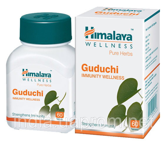 Гудучи, Хималая, Guduchi, Himalaya, побудова власного імунітету, Аюрведа Здесь