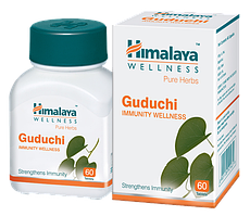 Гудучи, Хималая, Guduchi, Himalaya, побудова власного імунітету, Аюрведа Здесь