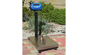 Товарні ваги BDU300C-0808 бюджет 800х800 мм (зі стійкою), фото 2