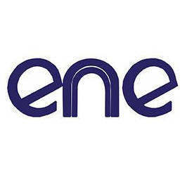 Мультиконтроллеры ENE