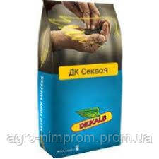 Насіння озимого Ріпаку ДК Секвоя середньоранній Монсанто/насіння ріпака озимого 1.5 млн. нас.