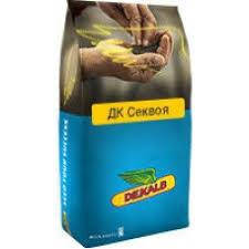 Насіння озимого Ріпаку ДК Секвоя середньоранній Монсанто/насіння ріпака озимого 1.5 млн. нас.