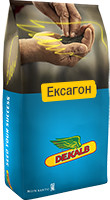 Насіння Ріпак озимий Эксагон, середньопізній Монсанто/насіння Ріпака Ексагон, 1,5 млн. шт.