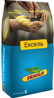 Насіння Ріпак озимий Ексель, середньостиглий Монсанто/насіння Ріпака озимого Ексель, 1,5 млн. нас, фото 1