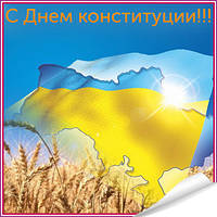 С Днем Конституции Украины!