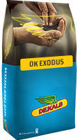 Семена Рапс озимый ДК Эксодус, Monsanto /насіння Ріпака ДК Ексодус, середньостиглий