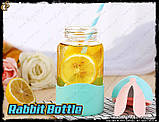 Пляшечка для напоїв Зайчик Rabbit Bottle 1 шт., фото 5