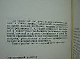 Руднів В.А. За історичними та культовими місцями Індії (б/у)., фото 6