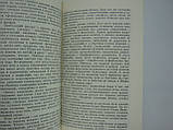 Руднів В.А. За історичними та культовими місцями Індії (б/у)., фото 7