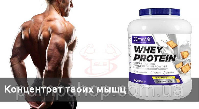 Сироватковий протеїн OstroVit Whey Protein 2000 г, фото 2