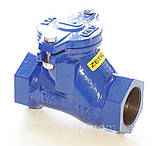 Клапан зворотний каналізаційний чавунний муфтовий арт. 401 ZETKAMA Ду80 Ру10, фото 6