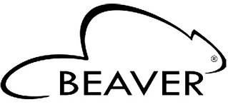 Твердопаливний котел Beaver