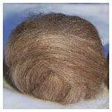 Гідролізат протеїнів пророслої пшениці 100 мл, фото 2