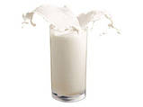 Гідролізат молочних протеїнів 0,5 кг (477 мл), фото 2