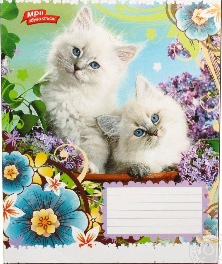 

Тетрадь А5/12 клетка. ЗУ А5/12 кл. Зверята