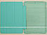 Чехол Zoyu Joy Color Series для iPad 9.7 2017 / 2018 (A1822, A1823, A1893, A1954) Mint, фото 4