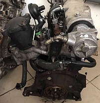Двигун Ситроен Берлінго 1.9д Xud9, фото 2