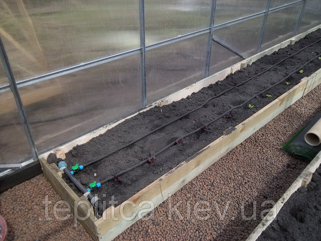 крапельний полив в теплиці
