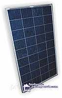 Солнечная батарея Perlight Solar PLM-100P/12