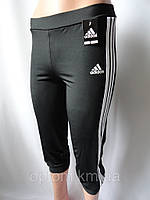 Оптова продажа спортивних бриджів для молоді.