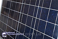 Солнечный фотомодуль Perlight PLM-050P/12 ( 50 Вт )