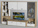 Стінка для вітальні з ДСП/МДФ (гостиная стенка) - 113 Тіса меблі, фото 2