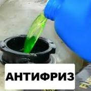 Antirrize Daxoil (концентрат)