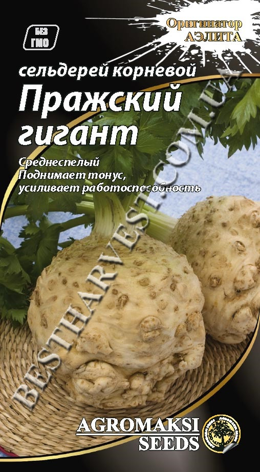 Насіння селери кореневої «Празький гігант» 0.3 г
