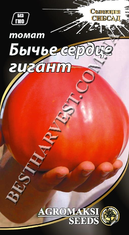 Насіння томату «Бичаче серце гігант» 0.1 г