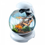 Аквариум Tetra Cascade Globe белый 6,8 литров для петушка и золотой рыбки - фото 2 - id-p561297577