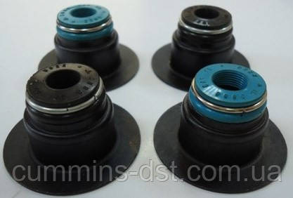 Колпачек маслосъемный клапана для двигателя Cummins серии 6C, 6CT, 6CTA, фото 1