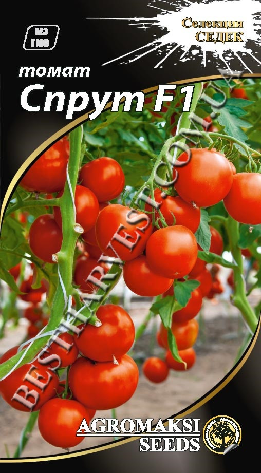 Насіння томату «Спрут» F1 0.1 г